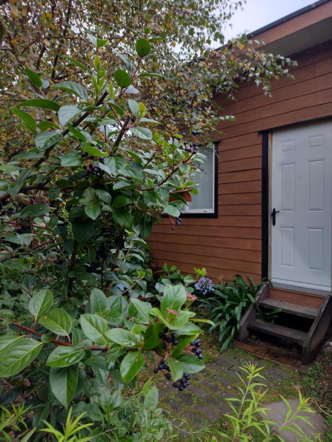 Borde Lago IV - V Puerto Varas Zewnętrze zdjęcie